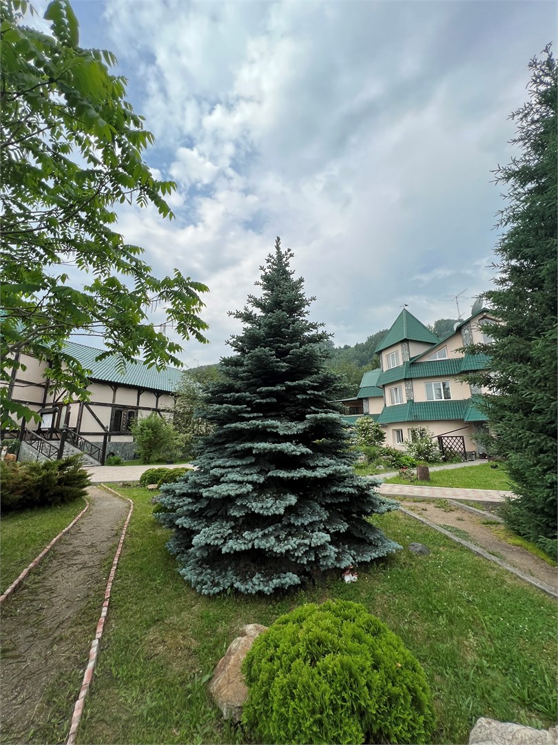 Усадьба "Сар-Герел Алтая" - photo 5