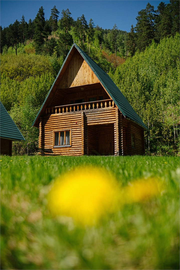 СОЙОТКА - photo 4