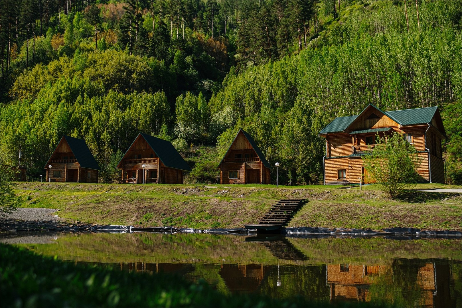 СОЙОТКА - photo 3