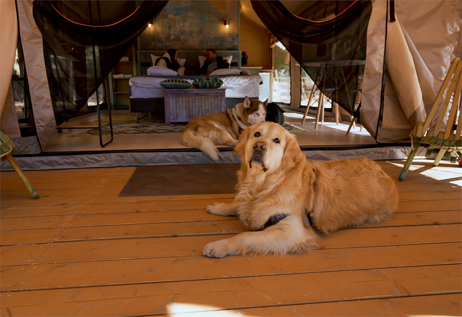 Глэмп-отель Террасы - photo 2