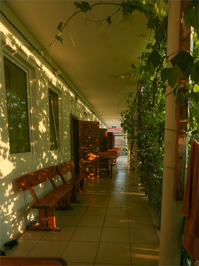 Green oasis Vavilon - photo 4