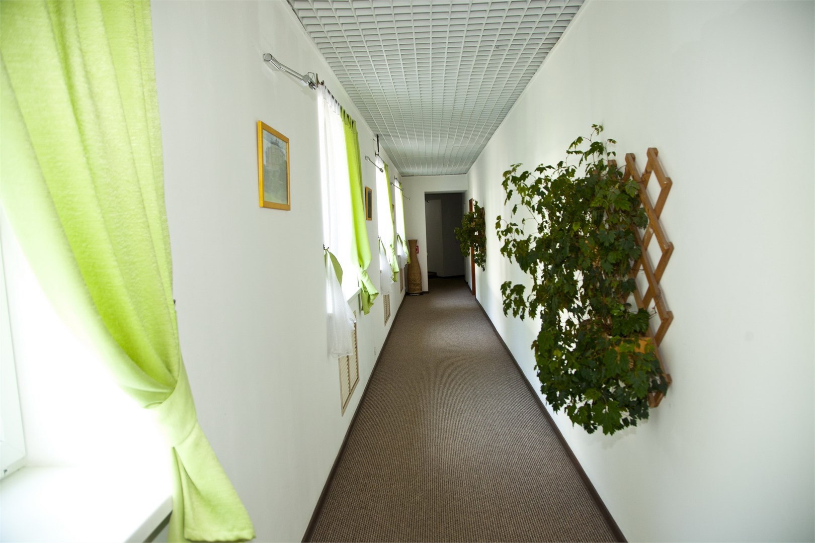 Отель Green Apple - photo 4