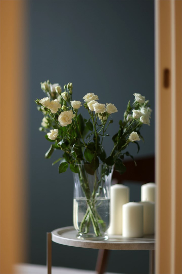 Hovard Club - photo 3