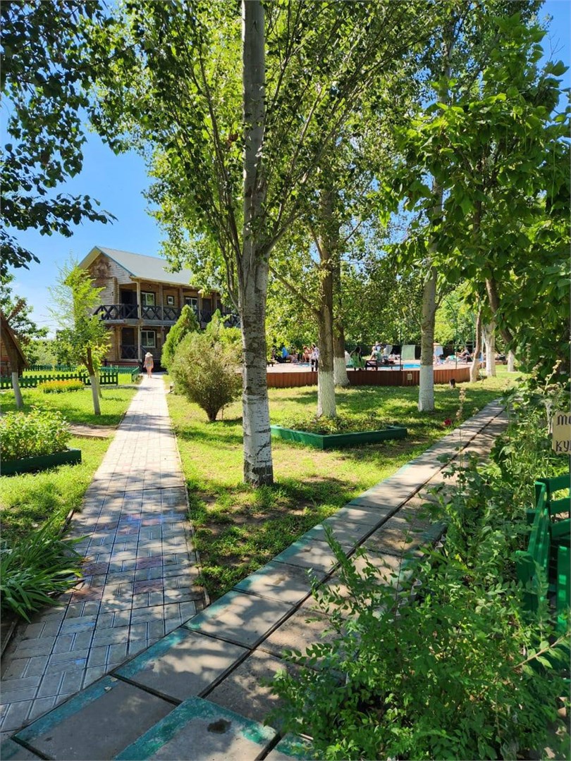 Золотой лотос - photo 5