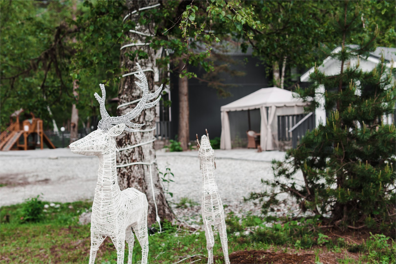 KayaSity - photo 2