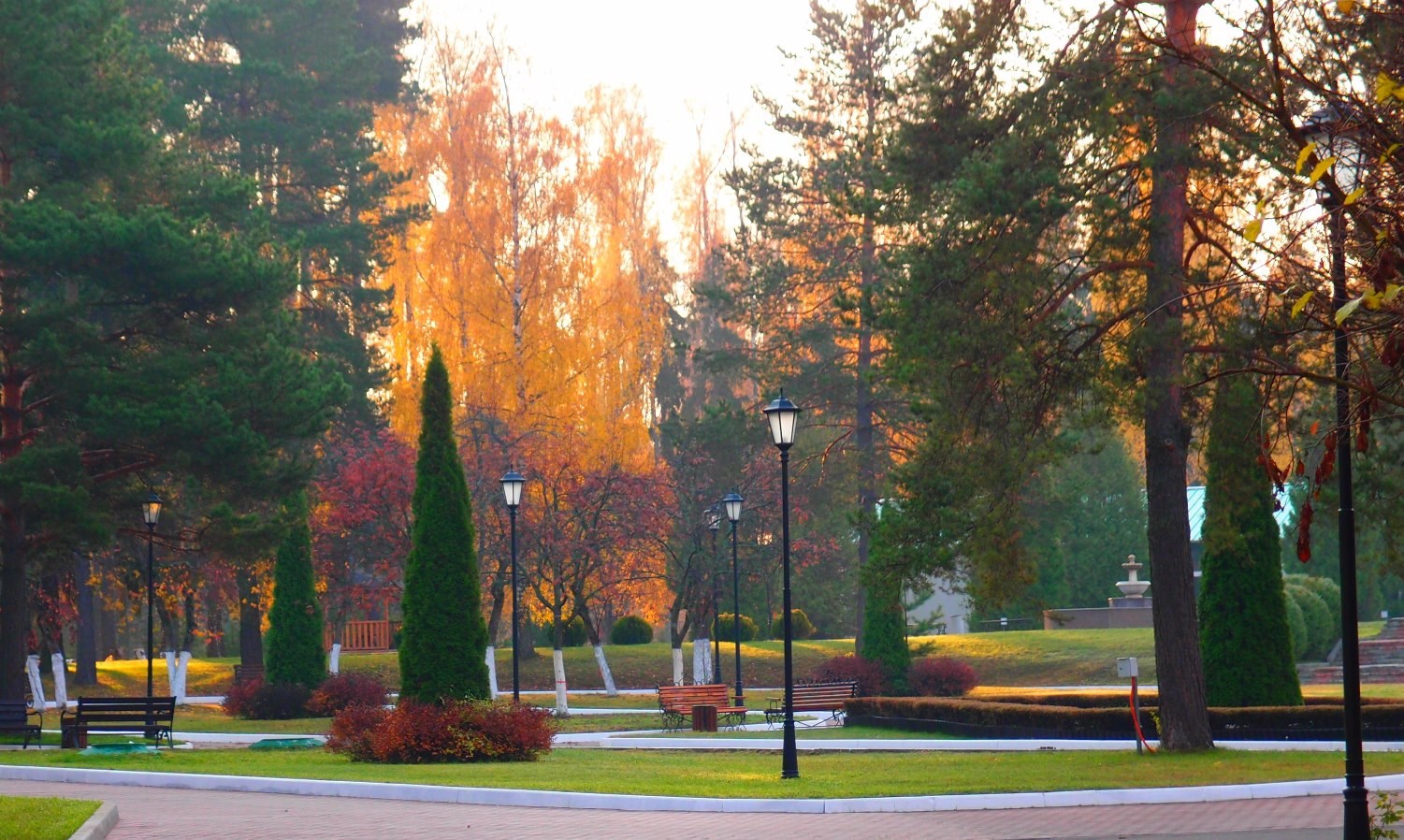 ФГБУ "Санаторий РОП Российской Федерации "Истра" - photo 5