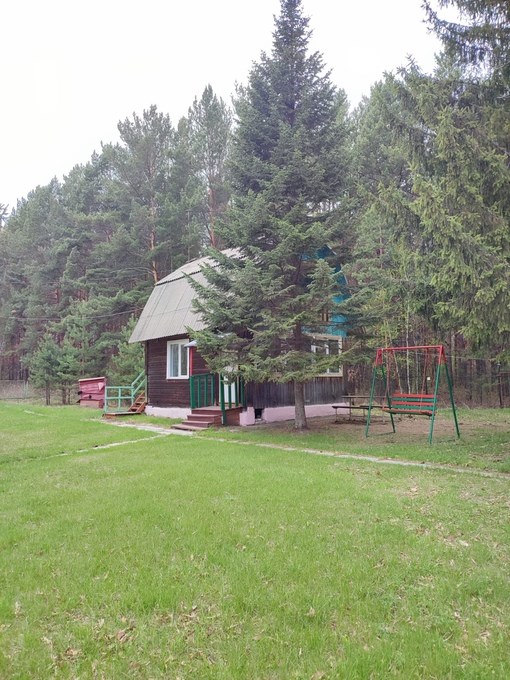 Зеленая поляна