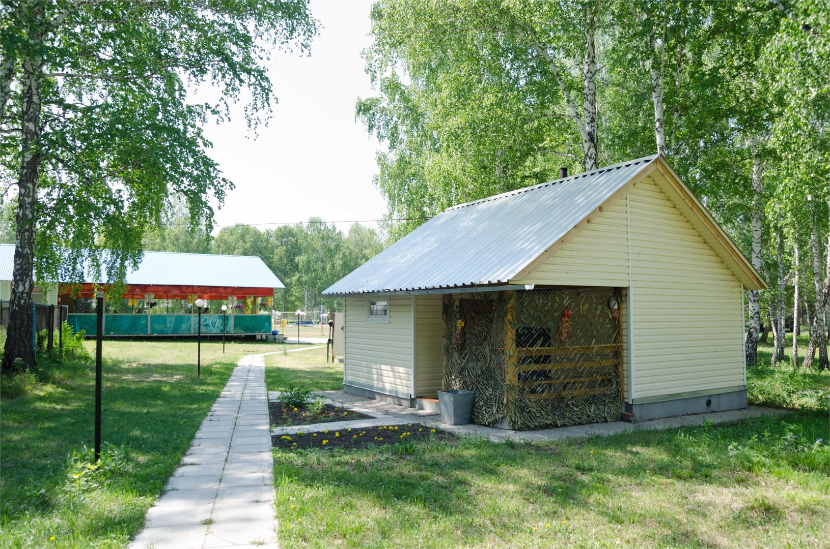 Зеленая поляна - photo 4