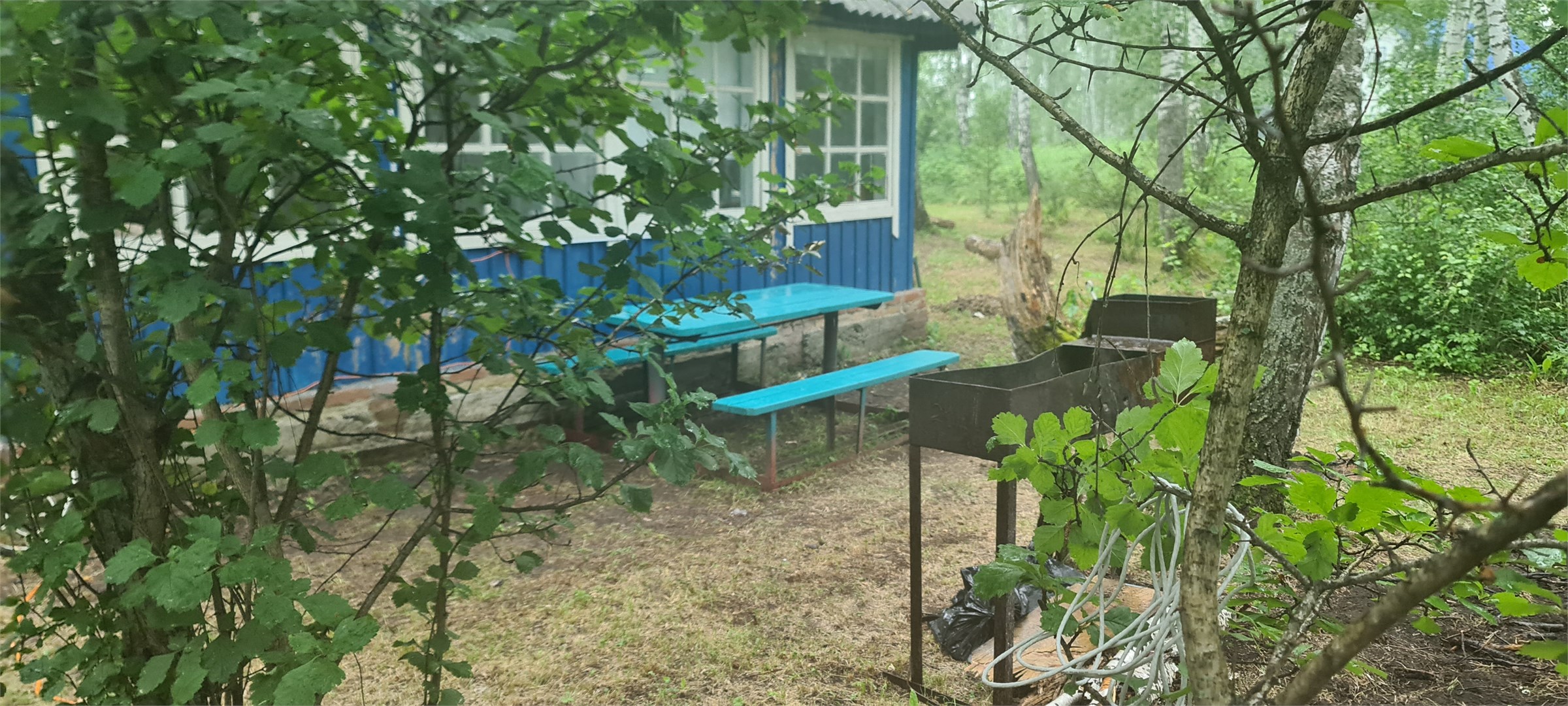 Миассово - photo 2