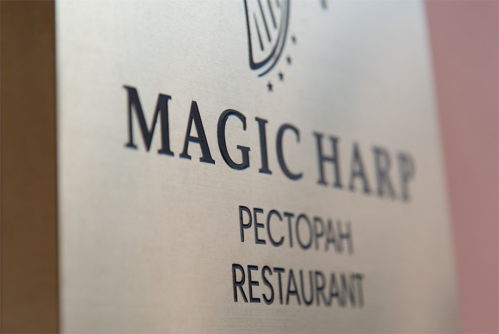 Magic Harp - photo 4