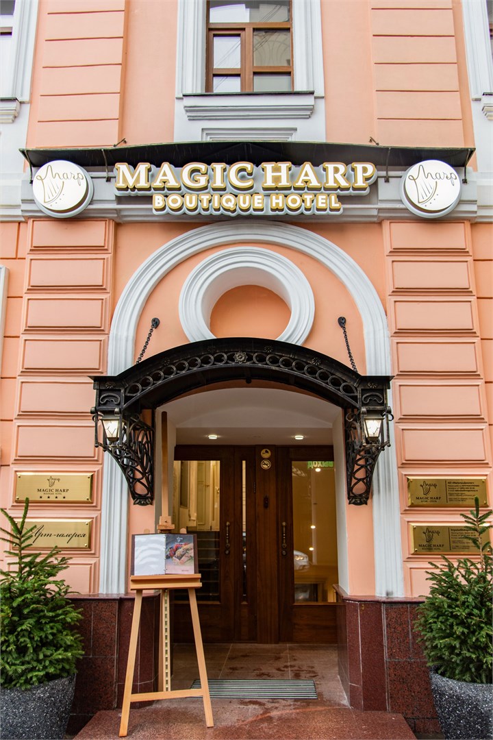 Magic Harp - photo 3