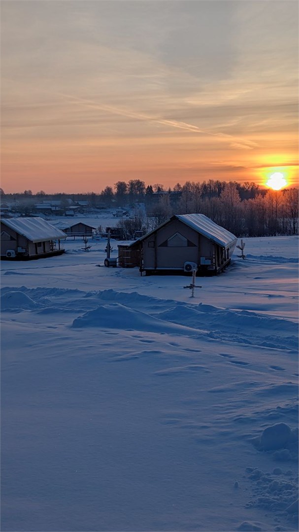 Носороги - photo 3