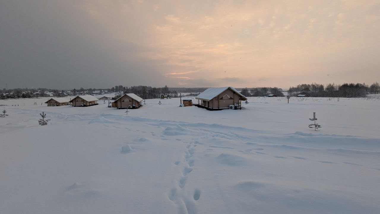 Носороги - photo 4