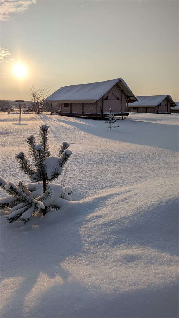 Носороги - photo 5