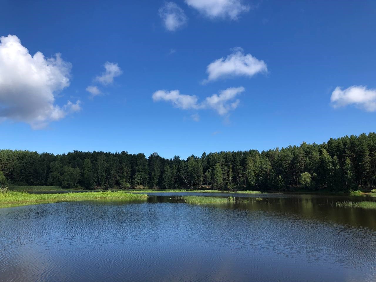 Гостевой дом «На Чеснаве» - photo 4