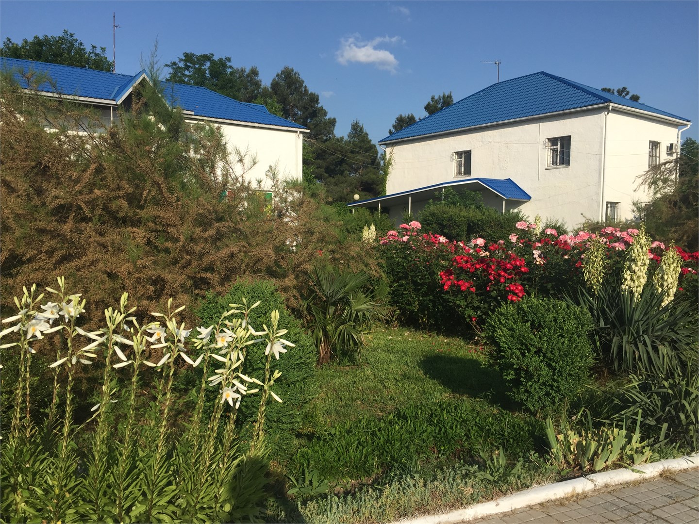 Пансионат "Солнечный берег" - photo 3