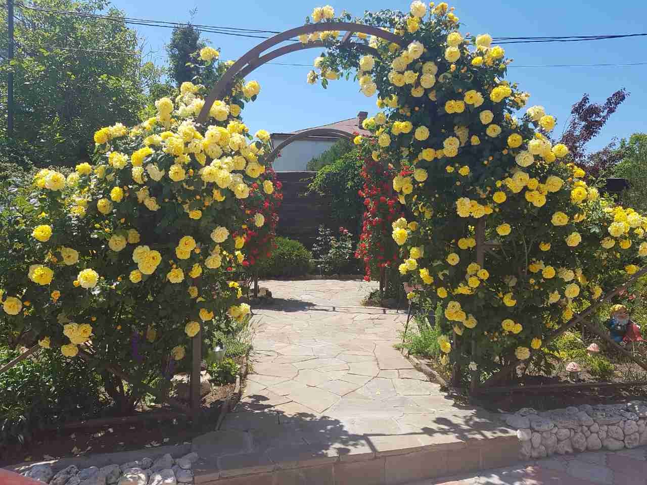 Вилла Венеция - photo 4