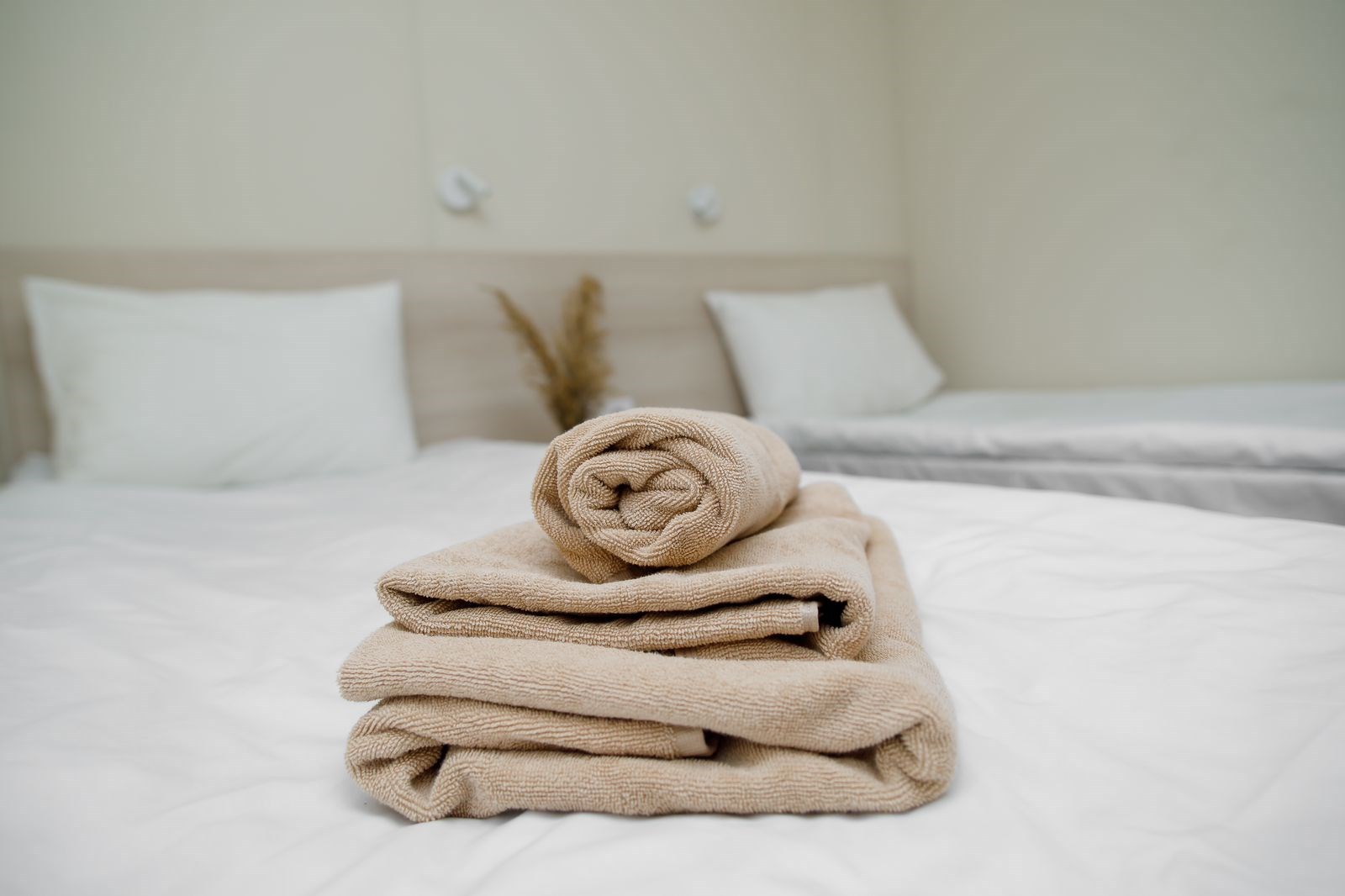 База отдыха "Комарово Спорт" - photo 3