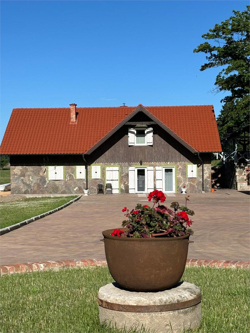 Белый филин - photo 2