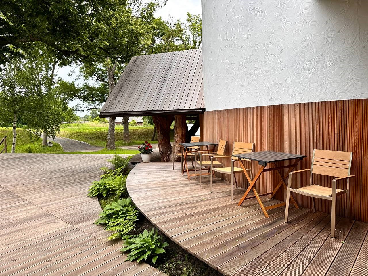 Белый филин - photo 4