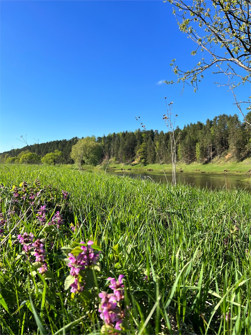 Агротуристический комплекс "Благоречье" - photo 4