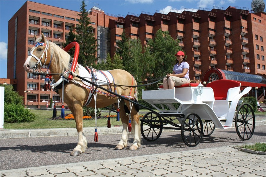 Пансионат Заря - photo 3