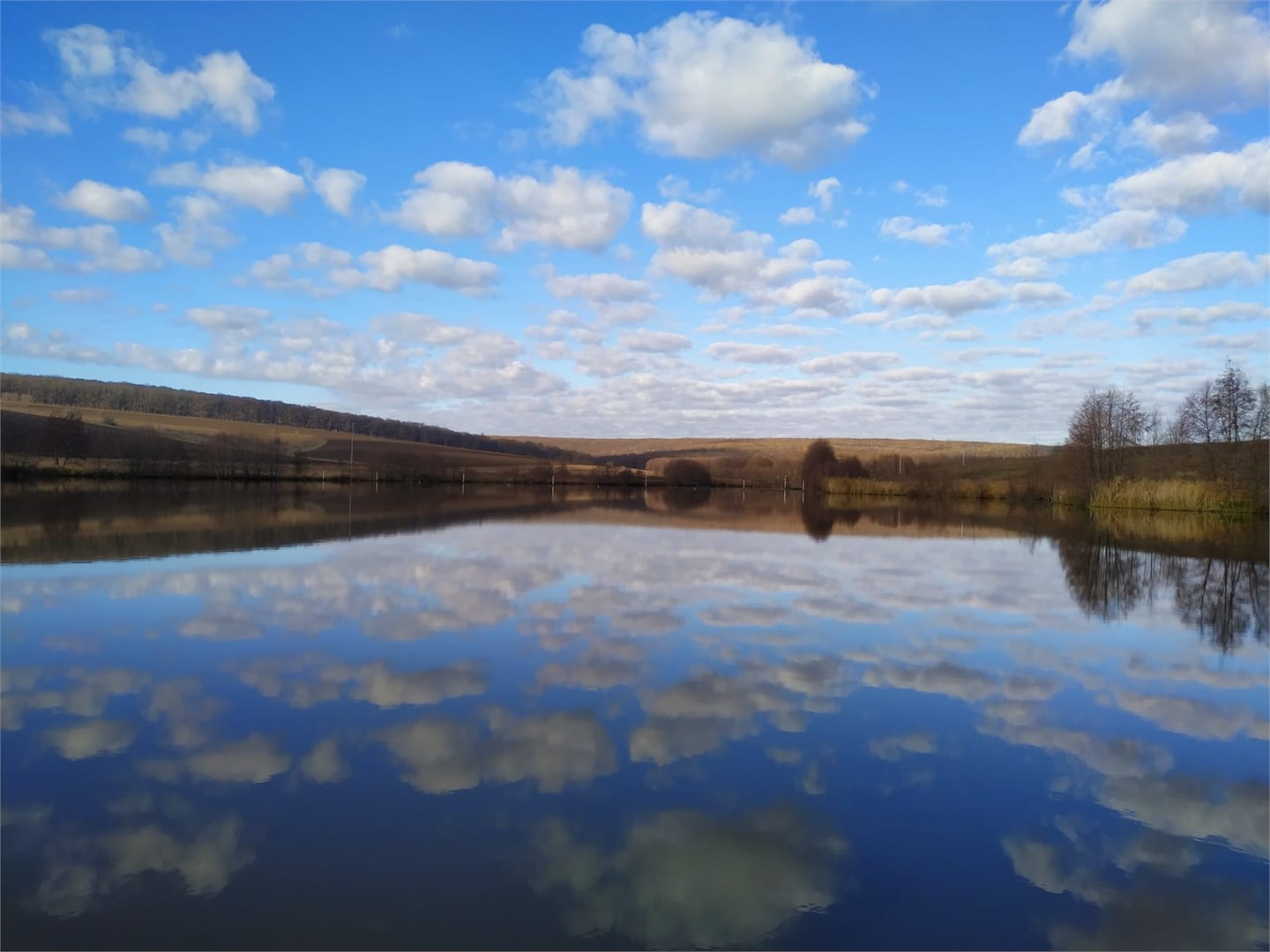 Золотой карп - photo 2