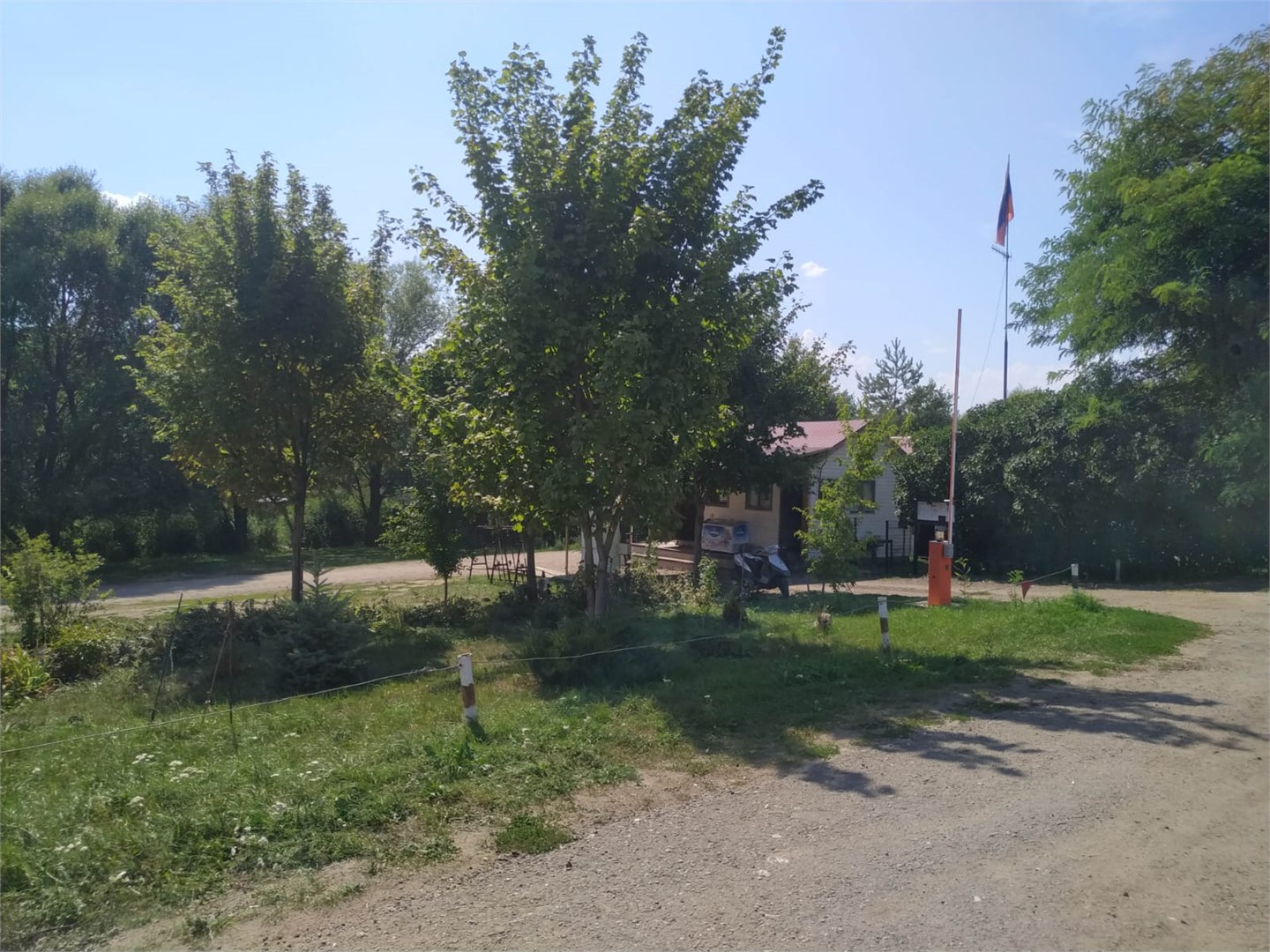 Золотой карп - photo 5