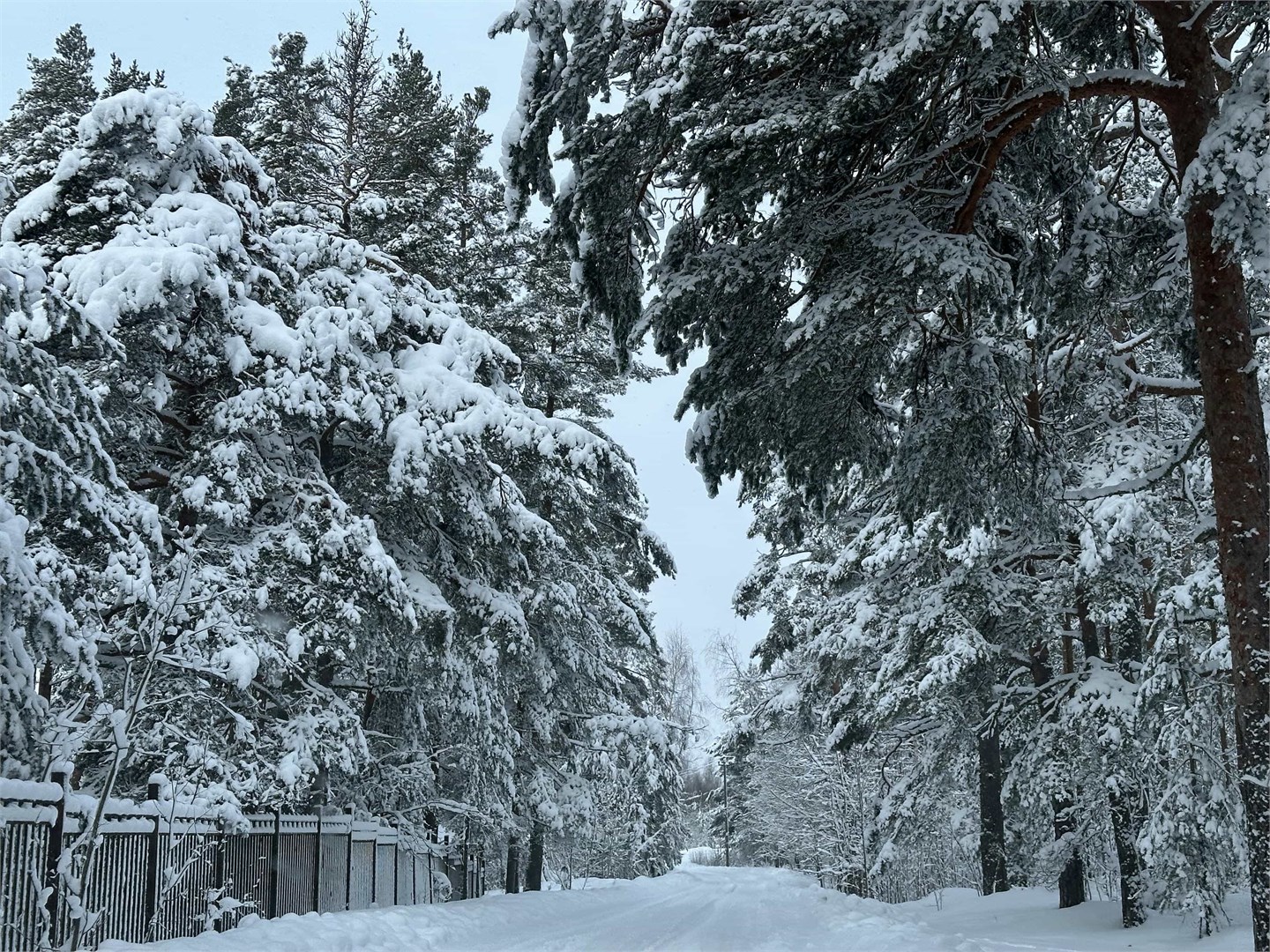 ЭкоPort на Отрадном - photo 4