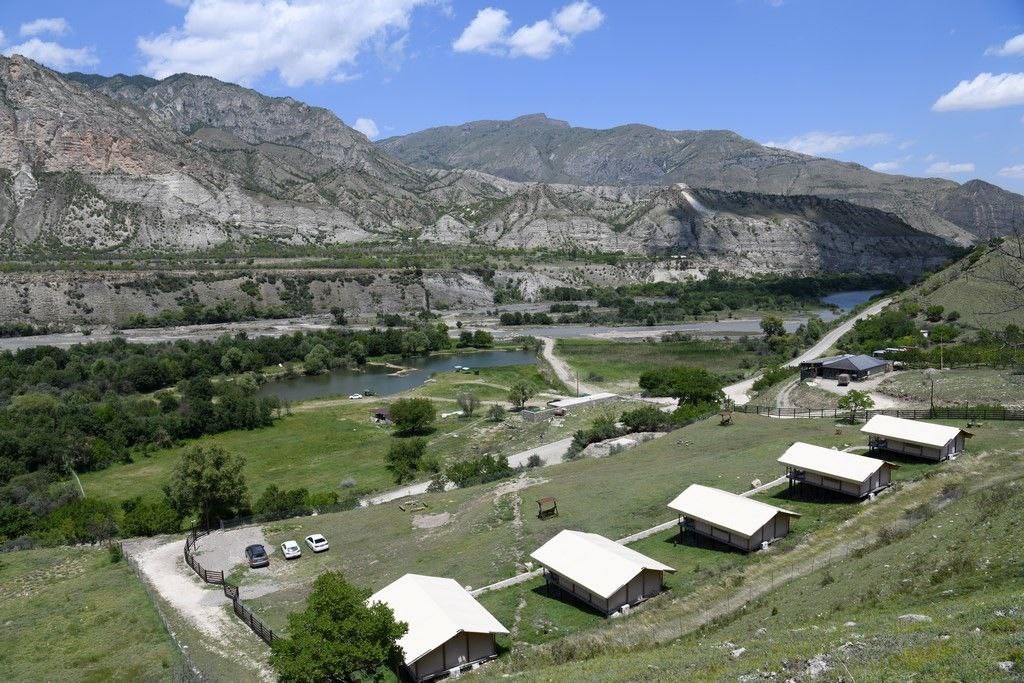 Медовый - photo 3