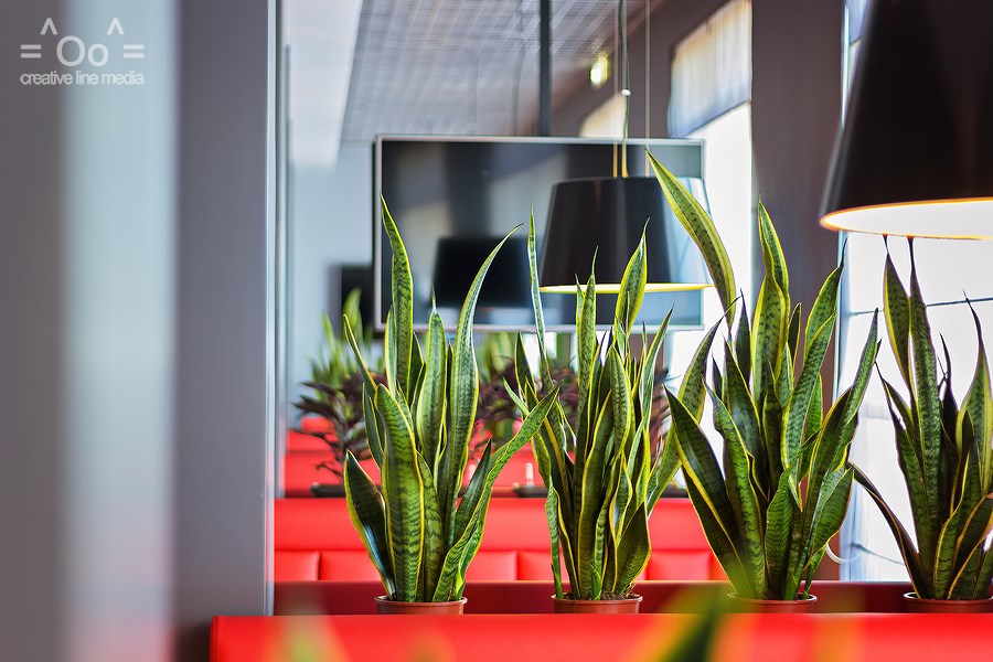 ЭРА СПА - photo 5