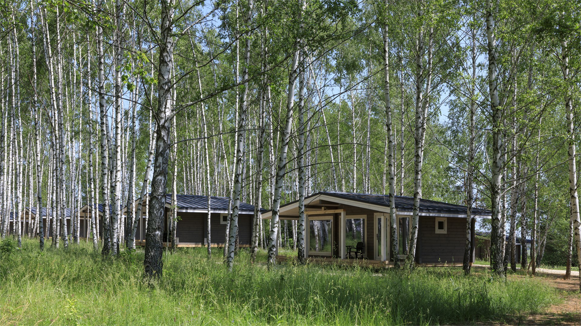 Norke Есенинская Русь - photo 4