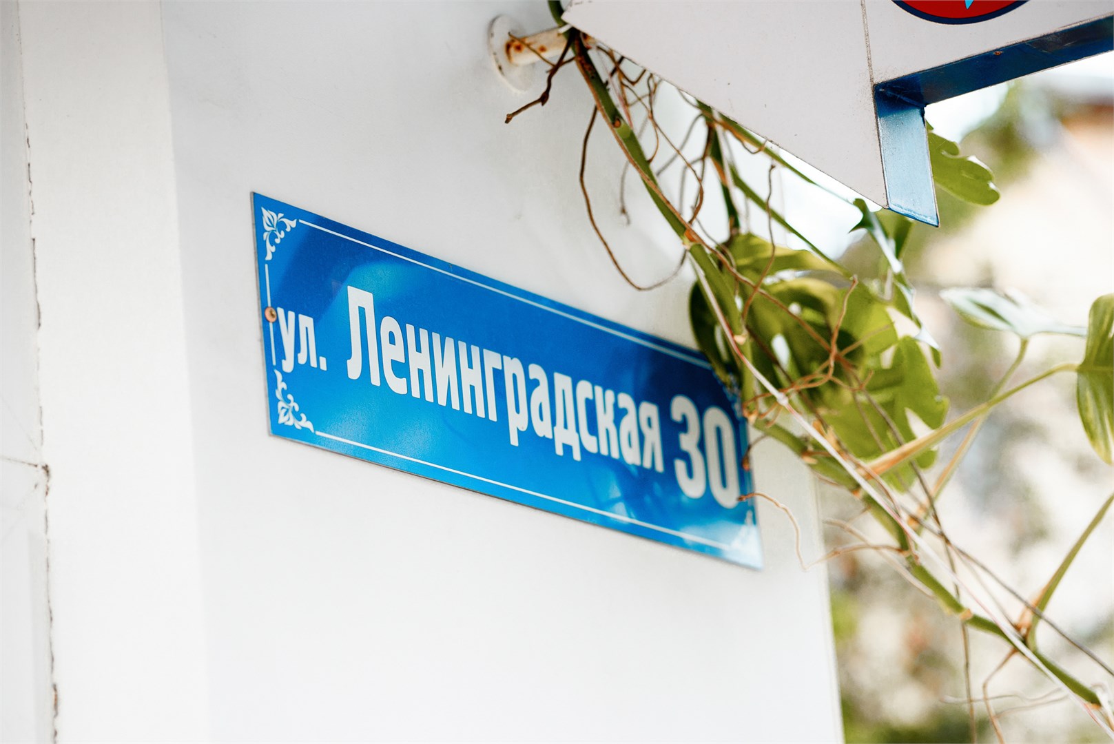 Юрзуф - photo 5