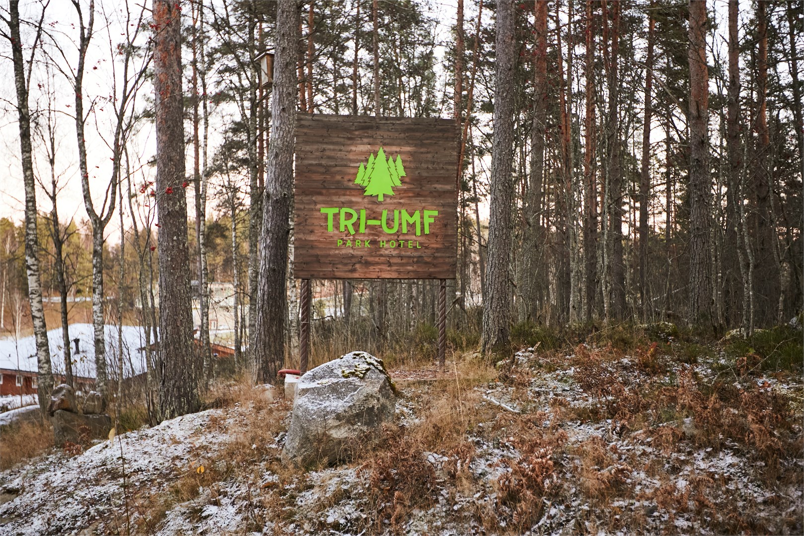 Триумф - photo 2