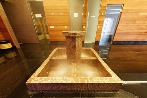 Гостиница "Адлер"/Adler Hotel & SPA - photo 4