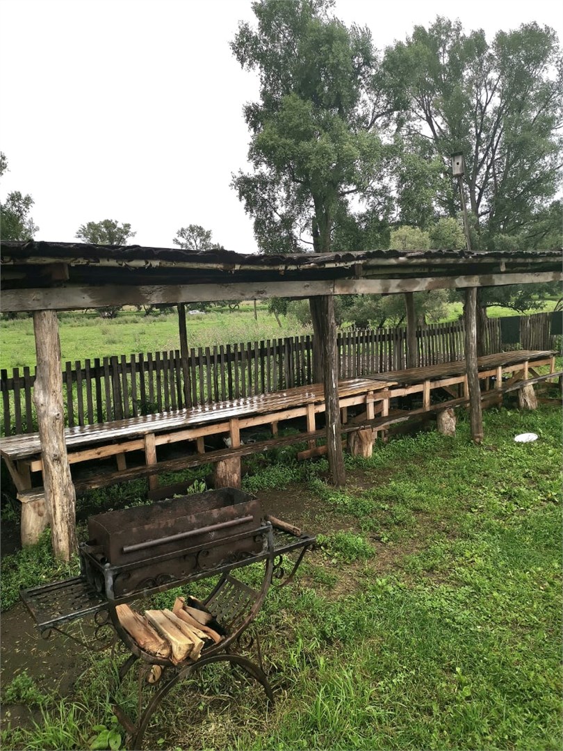 Табын - photo 4