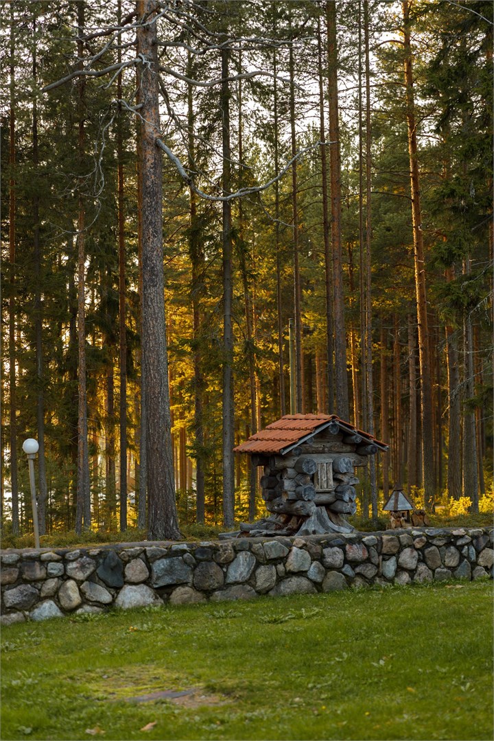 Медвежка в Карелии - photo 3