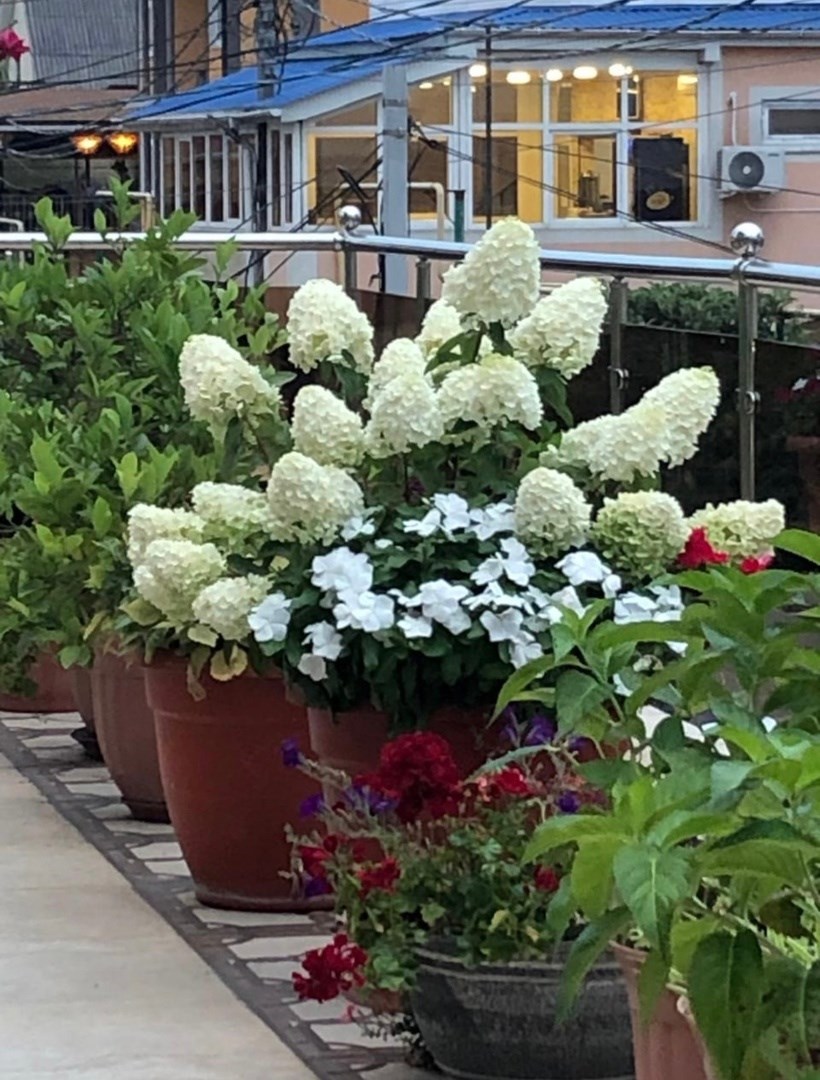 Флоренция - photo 3