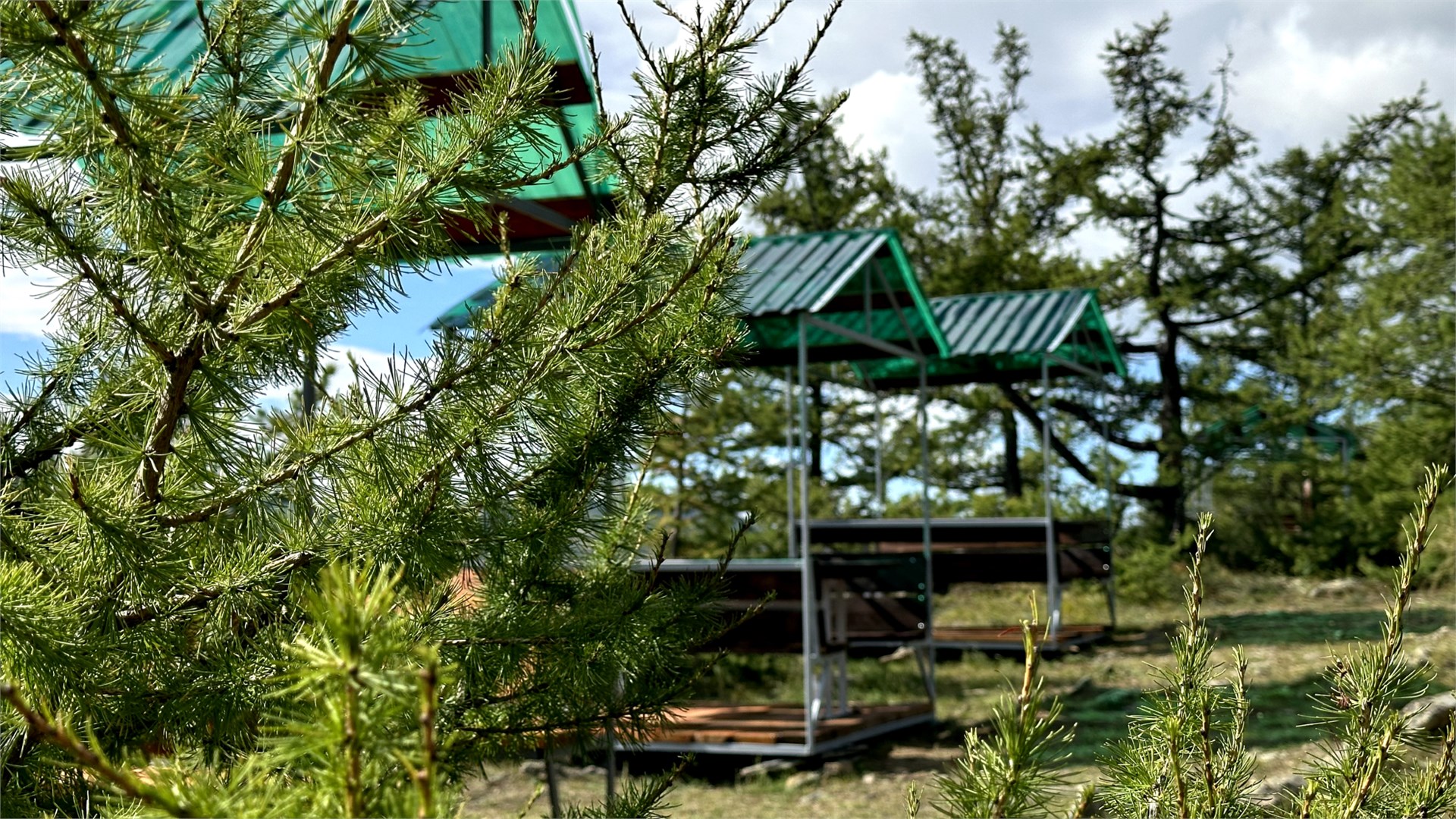 Олимп - photo 2