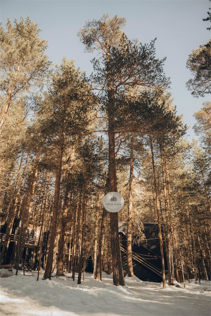 Хвоя Парк - photo 5