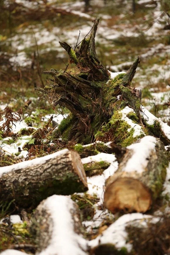 Глэмпинг Шестое Чувство - photo 3