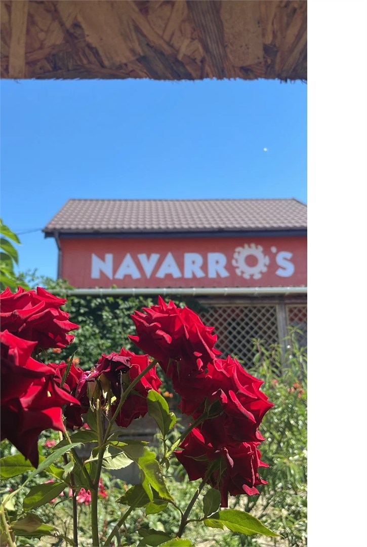 Navarros - photo 5