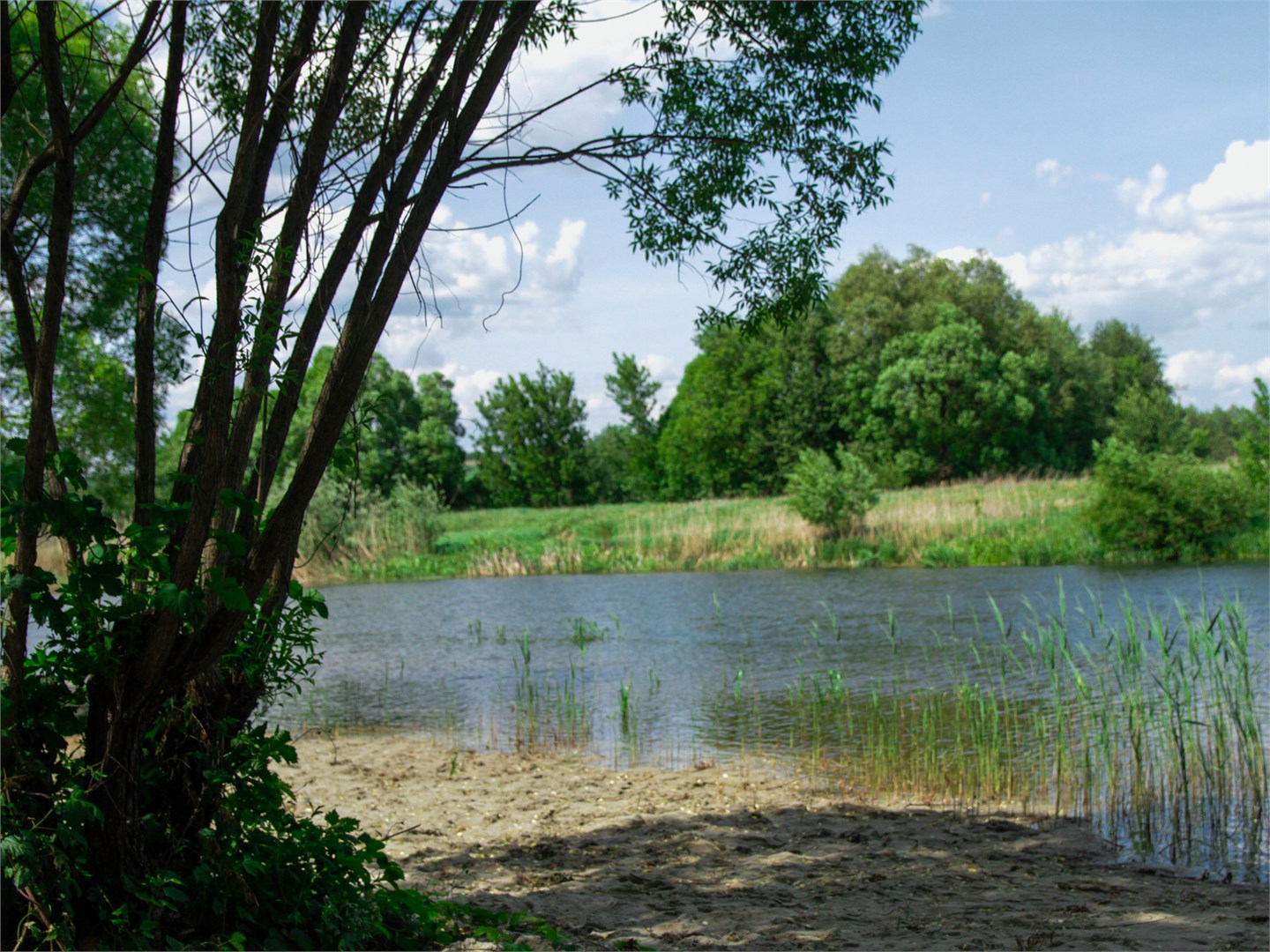 Riverland - photo 2
