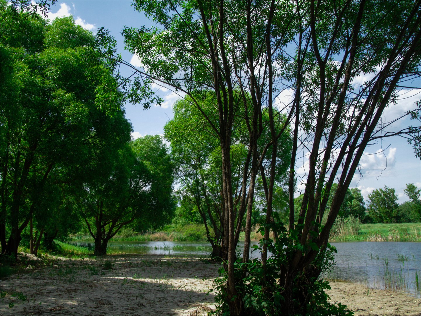Riverland - photo 5