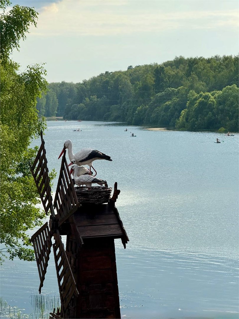 Regatta Village - photo 5