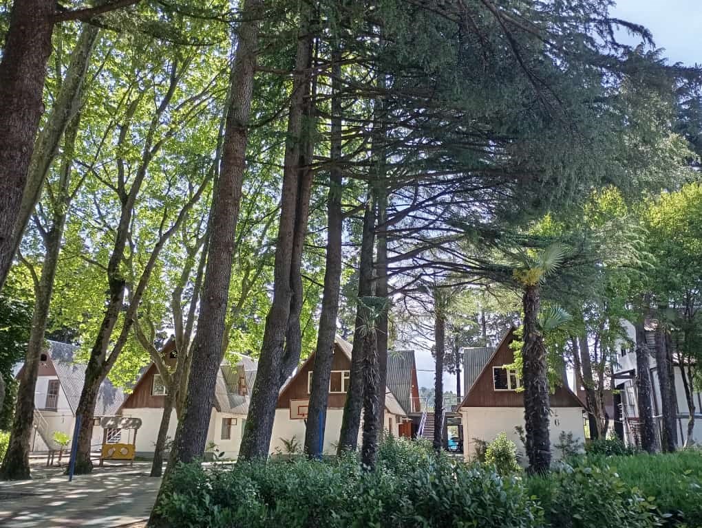 Парк-отель "Эльбрус" - photo 2