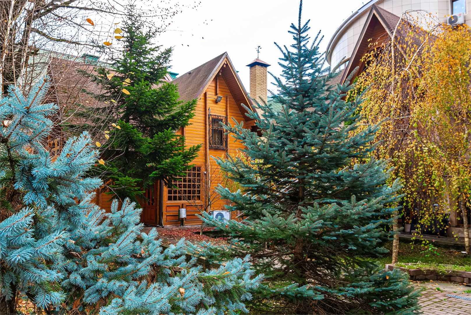 О!Тепло - photo 3