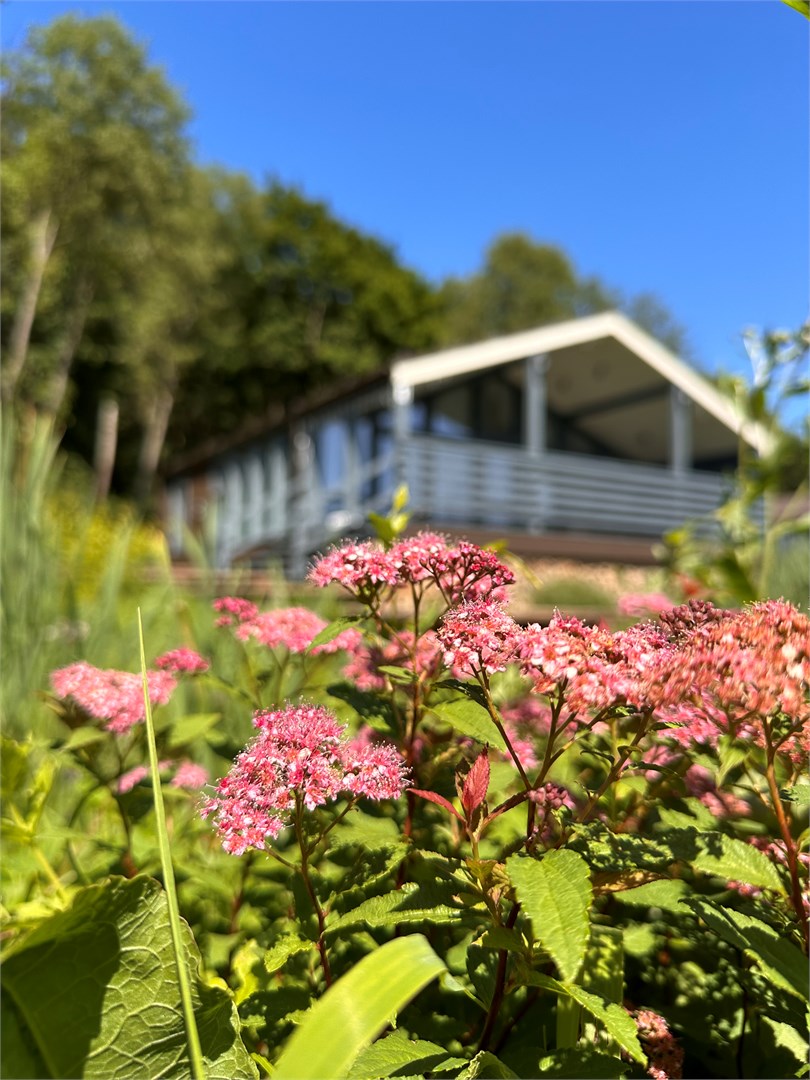 Семейный клуб «Бунин ручей» - photo 4