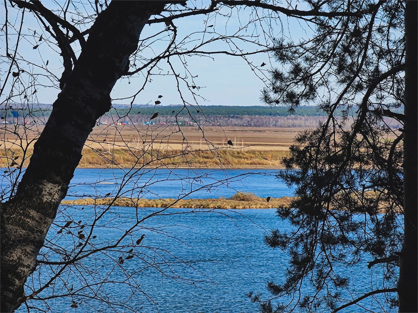 «ВМесте» Глэмпинг парк - photo 2