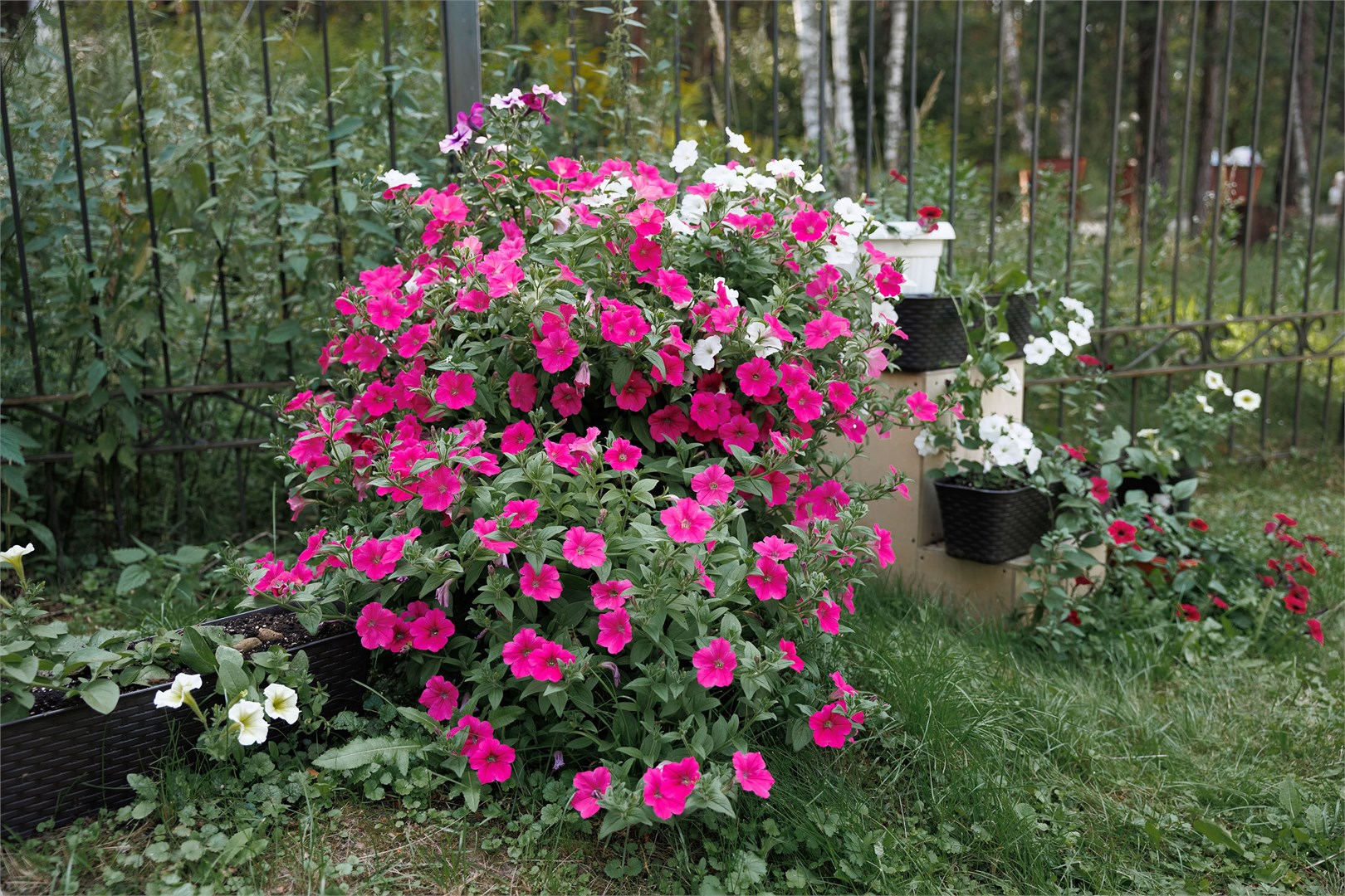 База отдыха Комета (АО РКБ Глобус) - photo 5